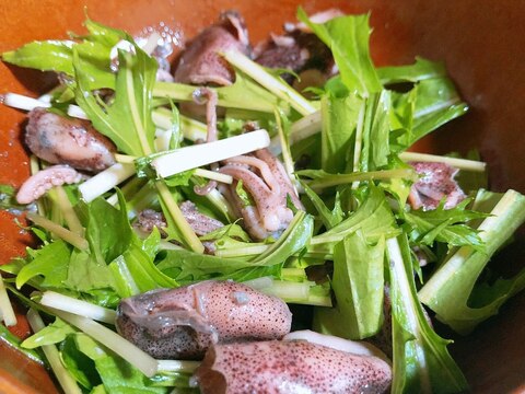 豆イカ(ホタルイカ)と水菜のおかずサラダ
